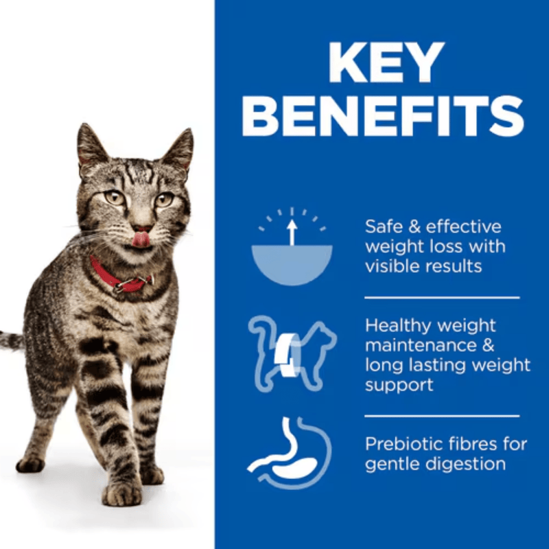 Picture of an adult tabby cat pictured next to a blue section with white text stating 'Key Benefits, Safe & effective weight loss with visible results, Healthy weight maintenance & long lasting weight support, Prebiotic fibres for gentle digestion'. 