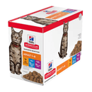 Box of wet cat food pouches with an adult brown tabby cat pictured on the box, text on the box says 'Adult 1-6' and 'with Chicken x6, with Ocean Fish x6, with Beef x6' below is a picture of the wet food. 