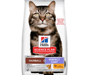 Hills Science Plan cat dry food packaged in a white bag with an adult brown tabby cat pictured on the bag. Text on bag say 'Hill's Science Plan, veterinarian recommended' and 'Hairball & Perfect Coat, Adult 1+ year' with a chicken pictured with text 'with chicken' beneath on white background. 