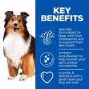 Picture of an adult brown and white collie dog pictured next to a blue section with white text stating 'Key Benefits, Specially formulated for dogs with food intolerances and to support their skin health, contains ActivBiome+ to help nourish your pets unique microbiome, crunchy & delicious with a great taste your dog will love!'