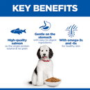 Picture of a large grey and white adult dog pictured on a white background with blue text above stating 'Key Benefits, High-quality Salmon as the single protein source & no grain, Gentle on the Stomach with easy-to-digest ingredients, With omega-3s and 6s for healthy skin'. 