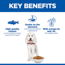 Picture of a white adult dog pictured on a white background with blue text above stating 'Key Benefits, High-quality Salmon as the single protein source & no grain, Gentle on the Stomach with easy-to-digest ingredients, With omega-3s and 6s for healthy skin'. 
