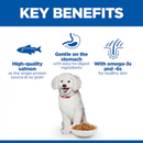 Picture of a small white adult dog pictured on a white background with blue text above stating 'Key Benefits, High-quality Salmon as the single protein source & no grain, Gentle on the Stomach with easy-to-digest ingredients, With omega-3s and 6s for healthy skin'. 