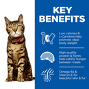Picture of an adult tabby cat pictured next to a blue section with white text stating 'Key Benefits, Low calories & L-Carnitine help promote ideal body weight, High-quality protein & fibres help satisfy hunger between meals, Omega-6s & Vitamin E for luxurious fur'. 