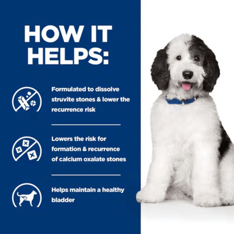 Picture of an adult black and white dog pictured next to a blue section with white text stating 'How it helps: Formulated to dissolve struvite stones & lower the recurrence risk, Lowers the risk for formation & recurrence of calcium oxalate stones, Helps maintain a healthy bladder.' 