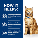 Picture of an adult ginger tabby cat pictured next to a blue section with white text stating 'How it helps: Dissolves struvite stones in as little as 7 days (average 27 days), Reduces the risk of struvite & calcium oxalate stones, Lifelong feeding provides benefits for cats with urinary signs.'