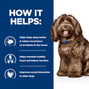 Picture of a brown adult dog pictured next to a blue section with white text stating 'How it helps: Helps dogs sleep better & reduce occurrence of accidents in the house, Helps maintain healthy heart and kidney function, Improves social interaction in older dogs.' 
