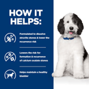Picture of an adult black and white dog pictured next to a blue section with white text stating 'How it helps: Formulated to dissolve struvite stones & lower the recurrence risk, Lowers the risk for formation & recurrence of calcium oxalate stones, Helps maintain a healthy bladder.'