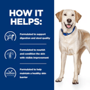 Picture of an adult golden Labrador dog pictured next to a blue section with white text stating 'How it helps: Formulated to support digestion and stool quality, Formulated to nourish and condition the skin with visible improvement, Formulated to help maintain a healthy skin barrier.' 