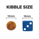 Puppy kibble pictured next to a blue dice with text above 'Kibble size.' '10mm' is shown above kibble, '16mm' shown above the dice. 