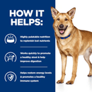 Picture of a large adult brown dog pictured next to a blue section with white text stating 'How it helps: Highly palatable nutrition to replenish lost nutrients, Works quickly to promote a healthy stool & help improve digestion, Helps restores energy levels & promotes a healthy immune system.' 