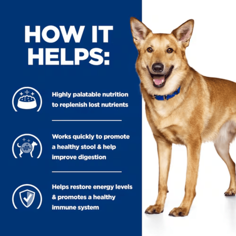 Picture of a large adult brown dog pictured next to a blue section with white text stating 'How it helps: Highly palatable nutrition to replenish lost nutrients, Works quickly to promote a healthy stool & help improve digestion, Helps restores energy levels & promotes a healthy immune system.' 