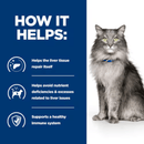 Picture of an adult long haired grey cat pictured next to a blue section with white text stating 'How it helps: Helps the liver tissue repair itself, Helps avoid nutrient deficiencies & excesses related to liver issues, Supports a healthy immune system.'