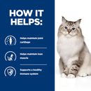 Picture of an adult tabby point Siberian cat pictured next to a blue section with white text stating 'How it helps: Helps maintain joint cartilage, Helps maintain lean muscle, Supports a healthy immune system.'