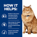 Picture of an adult long haired ginger tabby cat pictured next to a blue section with white text stating 'How it helps: Nutrition to help protect vital kidney function, encourage appetite & support joint health, Helps manage the changes in the gut microbiome caused by impaired kidney function, Support natural ability to build and maintain muscle mass'. 