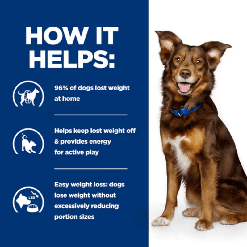 Picture of an adult brown and tan collie-type dog pictured next to a blue section with white text stating 'How it helps: 96% of dogs lost weight at home, Helps keep lost weight off & provides energy for active play, Easy weight loss: dogs lose weight without excessively reducing portion sizes.'