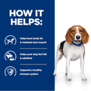 Picture of an adult Beagle dog pictured next to a blue section with white text stating 'How it helps: Helps burn body fat & maintain lean muscle, Helps your dog feel full & satisfied, Supports a healthy immune system'. 