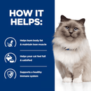 Picture of an adult Ragdoll cat pictured next to a blue section with white text stating 'How it helps: Helps burn body fat & maintain lean muscle, Helps your cat feel full & satisfied, Supports a healthy immune system.' 