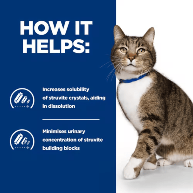 Picture of an adult brown tabby and white cat pictured next to a blue section with white text stating 'How it helps: Increases solubility of struvite crystals, aiding in dissolution, Minimises urinary concentration of struvite building blocks.'