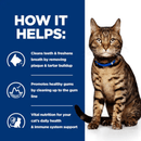 Picture of an adult brown tabby cat pictured next to a blue section with white text stating 'How it helps: Cleans teeth & freshens breath by removing plaque & tartar build up, Promotes healthy gums by cleaning up to the gum line, Vital nutrition for your cat's daily health & immune system support.'