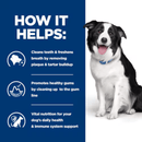 Picture of an adult black and white collie dog pictured next to a blue section with white text stating 'How it helps: Cleans teeth & freshens breath by removing plaque & tartar build up, Promotes healthy gums by cleaning up to the gum line, Vital nutrition for your dog's daily health & immune system support.'