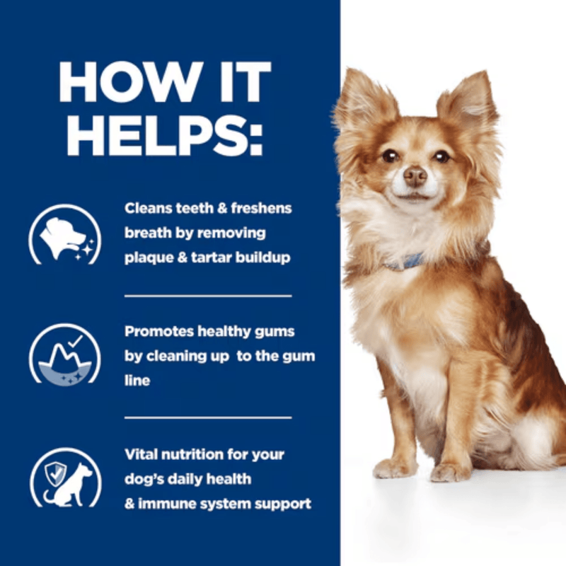 Picture of an adult chihuahua dog pictured next to a blue section with white text stating 'How it helps: Cleans teeth & freshens breath by removing plaque & tartar build up, Promotes healthy gums by cleaning up to the gum line, Vital nutrition for your dog's daily health & immune system support.'