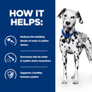 Picture of an adult Dalmatian dog pictured next to a blue section with white text stating 'How it helps: Reduces the building blocks of urate &cystine stones, Decreases risk for urate & cystine stone recurrence, Supports a healthy immune system.'