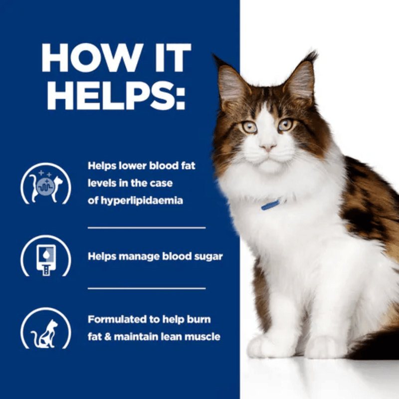 Picture of an adult brown tabby cat pictured next to a blue section with white text stating 'How it helps: Helps lower blood fat levels in the case of hyperlipidaemia, Helps manage blood sugar, Formulated to help burn fat & maintain lean muscle.' 