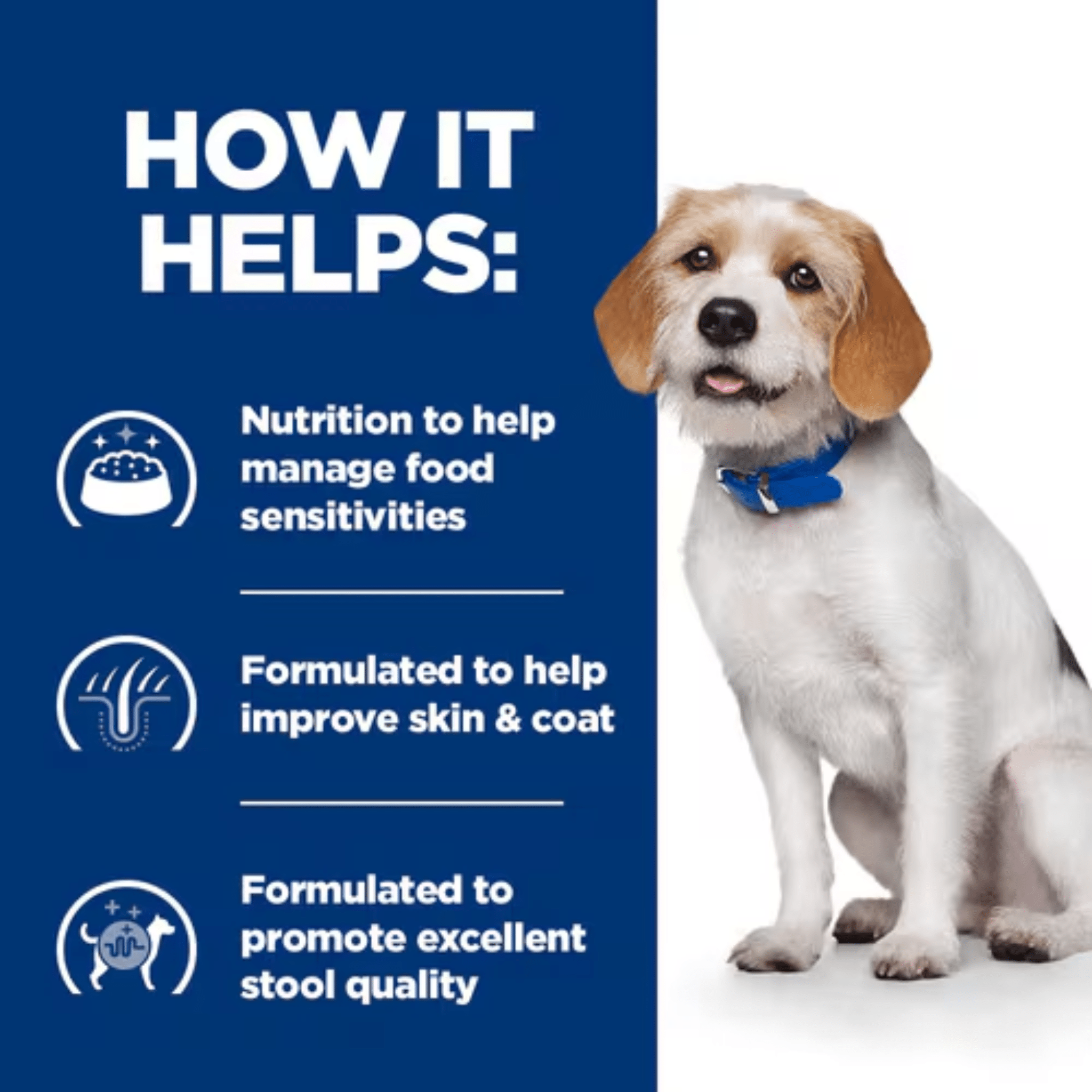 Hill's Prescription Diet Z/D Food Sensitivities Low Fat Soy Dog Hill's Prescription Diet Z/D Food Sensitivities Low Fat Soy Dog