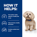 Picture of an adult Bichon Frise dog pictured next to a blue section with white text stating 'How it helps: This nutrition visibly supports a healthy skin & coat, Helps promote a healthy skin barrier, Provides excellent stool quality.' 