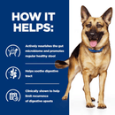 Picture of an German Shepherd adult dog pictured next to a blue section with white text stating 'How it helps: Actively nourishes the gut microbiome and promotes regular healthy stool, Helps improve digestive tract, Clinically shown to help limit recurrence of digestive upsets.'