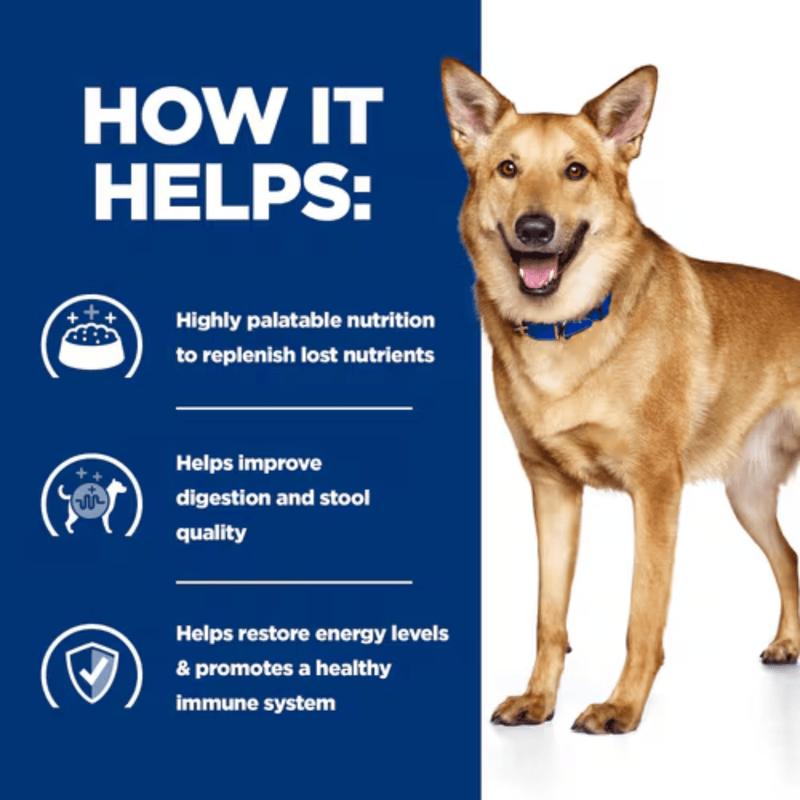 Picture of an German Shepherd mix adult dog pictured next to a blue section with white text stating 'How it helps: Highly palatable nutrition to replenish lost nutrients, Helps improve digestion and stool, Helps restore energy levels & promotes a healthy immune system.'