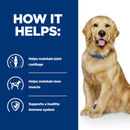 Picture of an Golden Retriever adult dog pictured next to a blue section with white text stating 'How it helps: Helps maintain joint cartilage, Helps maintain lean muscle, Supports a healthy immune system'