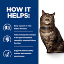 Picture of a long haired adult brown tabby cat pictured next to a blue section with white text stating 'How it helps: Early support of vital kidney function, Helps manage the changes in the gut microbiome caused by impaired kidney function, Supports natural ability to build and maintain muscle mass.'