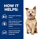 Picture of an adult Cairn Terrier dog pictured next to a blue section with white text stating 'How it helps: Helps protect vital kidney function, Helps manage the changes in the gut microbiome caused by impaired kidney function, Supports natural ability to build and maintain muscle mass.' 