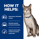 Picture of an adult grey tabby cat pictured next to a blue section with white text stating 'How it helps: Helps protect vital kidney function, Stimulates appetite & increases food intake, Supports natural ability to build and maintain muscle mass.'