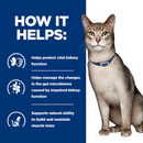 Picture of an adult grey tabby cat pictured next to a blue section with white text stating 'How it helps: Helps protect vital kidney function, Helps manage the changes in the gut microbiome caused by impaired kidney function, Supports natural ability to build and maintain muscle mass.'