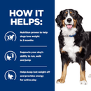 Picture of an adult Bernese Mountain dog pictured next to a blue section with white text stating 'How it helps: Nutrition proven to help dogs lose weight in 2 months, Supports your dog's ability to run, walk and jump, Helps keep lost weight off and provides energy for active play'