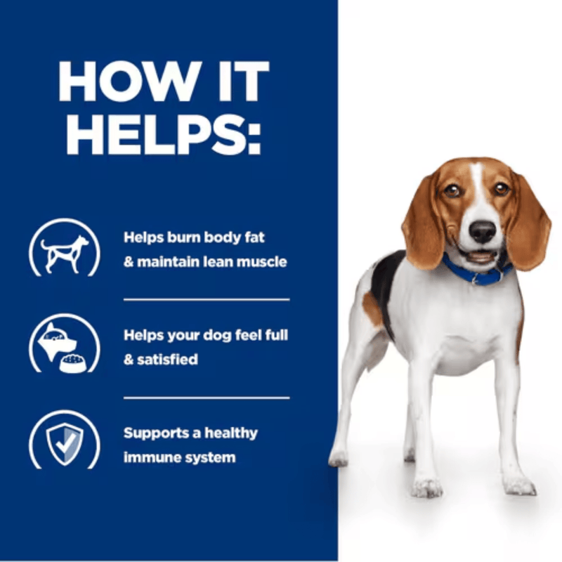 Picture of an adult Beagle dog pictured next to a blue section with white text stating 'How it helps: Helps burn body fat & maintain lean muscle, Helps your dog feel full & satisfied, Supports a healthy immune system.'