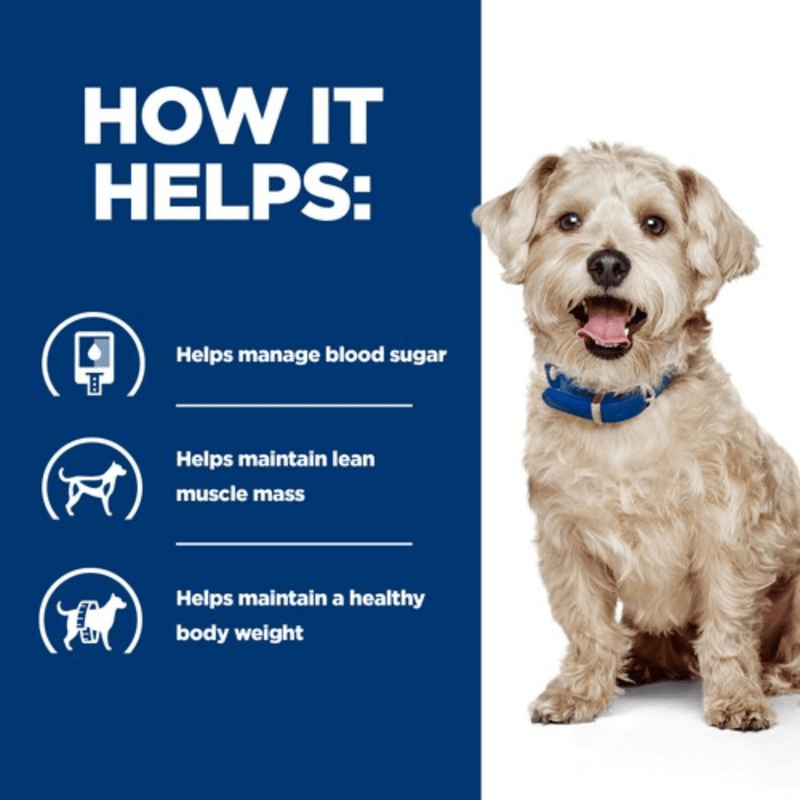 Picture of an adult cream coloured terrier type dog pictured next to a blue section with white text stating 'How it helps: Helps manage blood sugar, Helps maintain lean muscle mass, Helps maintain a healthy body weight'. 