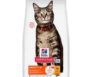 Hills Science Plan Adult Cat Dry Food Chicken on white background