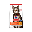 Hills Science Plan Adult Cat Dry Food Chicken on white background