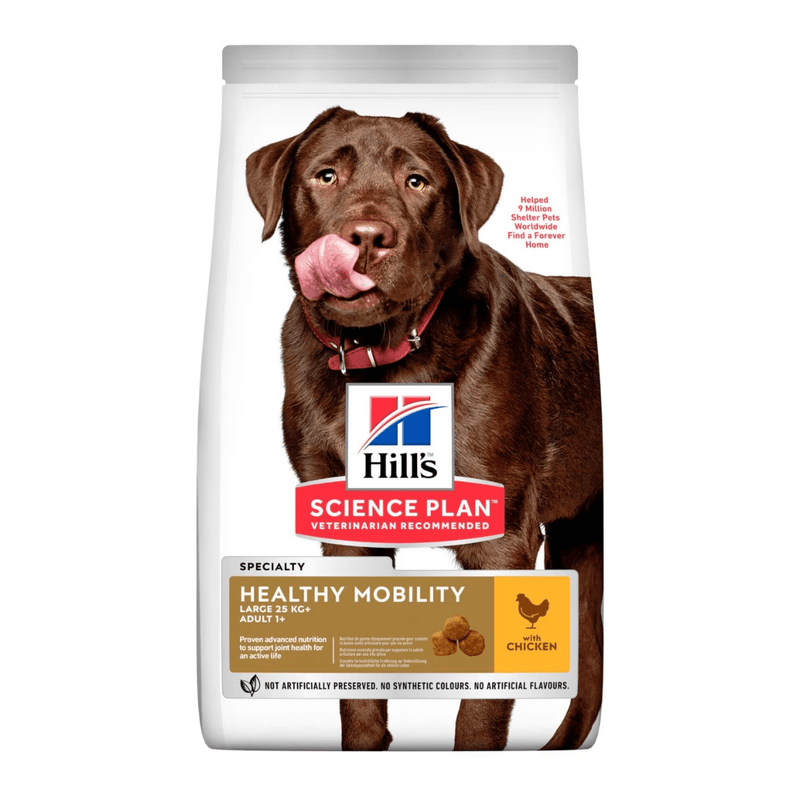 Hills Science Plan dry dog food packaged in a white bag with a brown adult Labrador dog pictured on the bag. Text on bag say 'Hill's Science Plan, veterinarian recommended' and 'Healthy Mobility, Large Adult 1+' with a chicken pictured with text 'with chicken' beneath on white background. 
