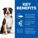 Picture of an adult brown and white collie dog pictured next to a blue section with white text stating 'Key Benefits, EPA from fish oil helps keep joint cartilage healthy, Proven nutrition to support joint flexibility, Glucosamine & chondroitin are building blocks of healthy cartilage'.