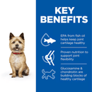 Picture of an adult brown terrier dog pictured next to a blue section with white text stating 'Key Benefits, EPA from fish oil helps keep joint cartilage healthy, Proven nutrition to support joint flexibility, Glucosamine & chondroitin are building blocks of healthy cartilage'.