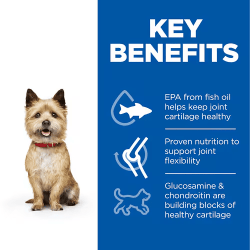 Picture of an adult brown terrier dog pictured next to a blue section with white text stating 'Key Benefits, EPA from fish oil helps keep joint cartilage healthy, Proven nutrition to support joint flexibility, Glucosamine & chondroitin are building blocks of healthy cartilage'.