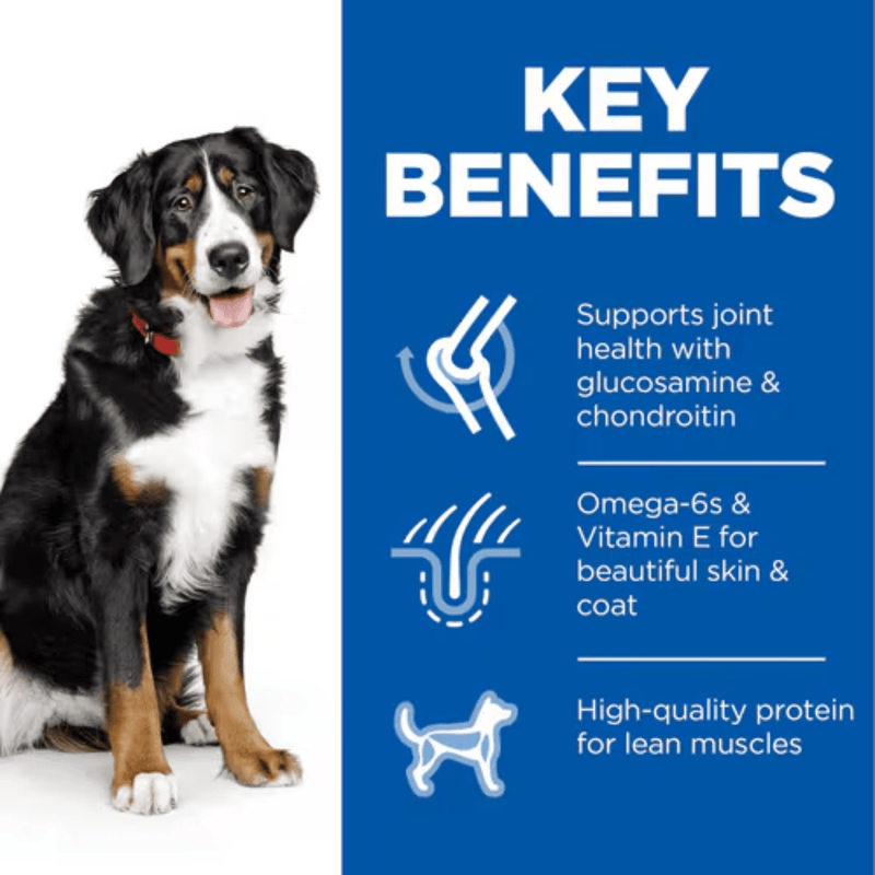 Hills Science Plan Large Adult Dry Dog Food Chicken info graphic