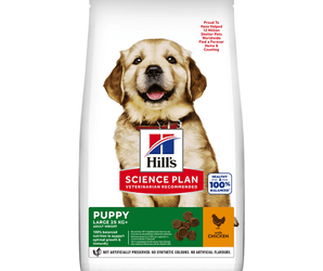Hills Science Plan Large Puppy Dry Dog Food Chicken on white background