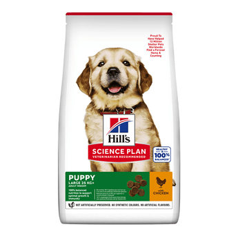 Hills Science Plan Large Puppy Dry Dog Food Chicken on white background