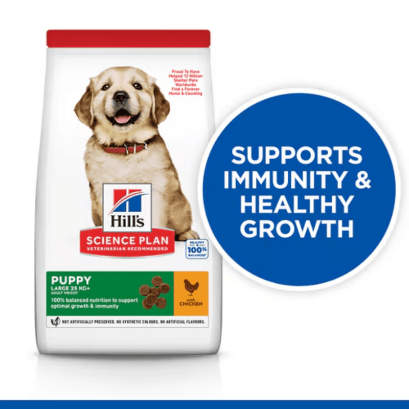 Hills Science Plan Large Puppy Dry Dog Food Chicken info graphic
